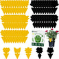 Yellow/Black