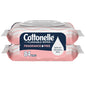 Fragrance Free42 Wipes (Pack of 2)