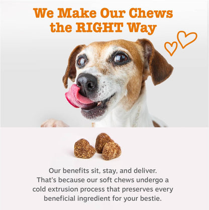 Zesty Paws Dog Multivitamin: A Comprehensive Supplement for Your Furry Friend