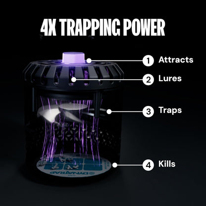 DynaTrap DT152 Indoor Insect Trap and Killer