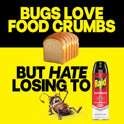 Raid Ant & Roach Killer: Effective Bug Control for Your Home