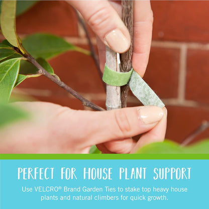 VELCRO Brand Adjustable Plant Ties: The Ultimate Gardening Hack