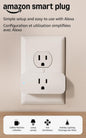 Amazon Smart Plug | Works with Alexa | Simple Setup, Endless Possibilities (1-Pack)