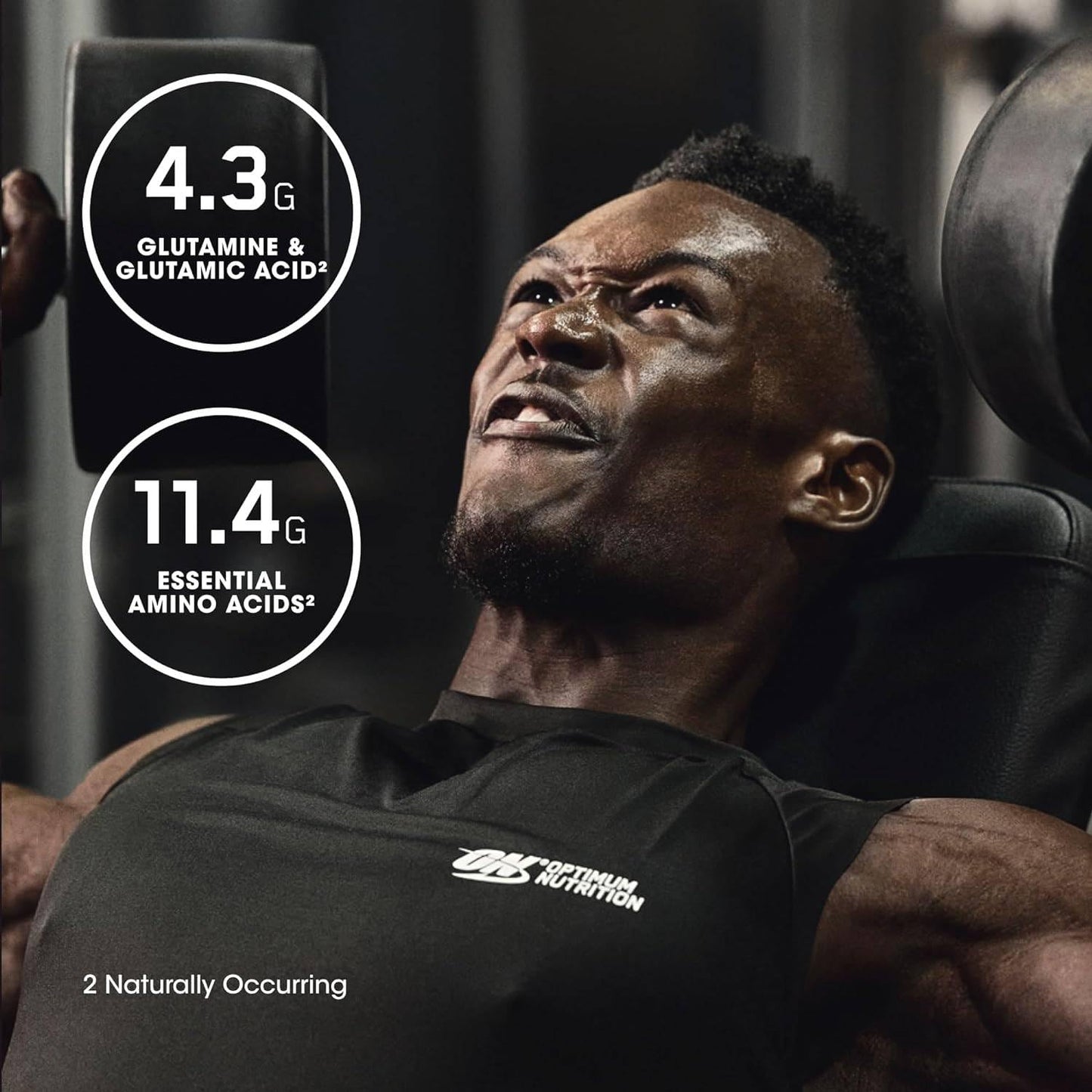Optimum Nutrition Gold Standard 100% Isolate, Protein Powder, Chocolate Bliss, 3 Pounds, 44 Servings. Whey Protein Isolate (Packaging May Vary) (Pack of 4)