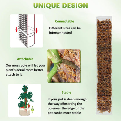 EOX 4 Pcs 24 Inch Plastic Moss Pole for Monstera, Large D Shaped Poles for Climbing Plants Work with Sphagnum Moss, 90 Inch Plant Stake Set of 4, Garden Ties