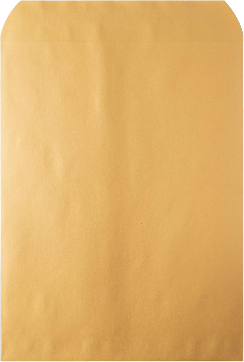 Hilroy Kraft-Briefumschläge, 22,9 x 30,5 cm, Press-it Seal-it Verschluss, 25 Stück pro Packung (76044)