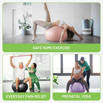 Slim Panda Gymnastikball für Fitness, Balance, Physiotherapie, rutschfester Geburtsball für Schwangerschaft, aufblasbarer Stabilitätsball mit Anleitung für Büro, Fitnessstudio