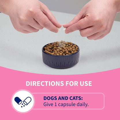 Nutramax Proviable Probiotics for Dogs and Cats: A Digestive Health Game-Changer