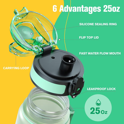Sahara Sailor Trinkflasche, 950ml Motivations-Sportflasche mit Zeitmarkierung – Trinkzeiten – Tritan, BPA-frei, weite Öffnung auslaufsicher, Fast-Flow-Technologie mit Reinigungsbürste (1 Flasche)