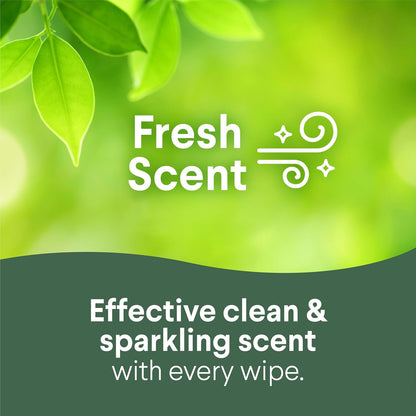 Stay Ahead of Allergy Season with Clorox Disinfecting Wipes