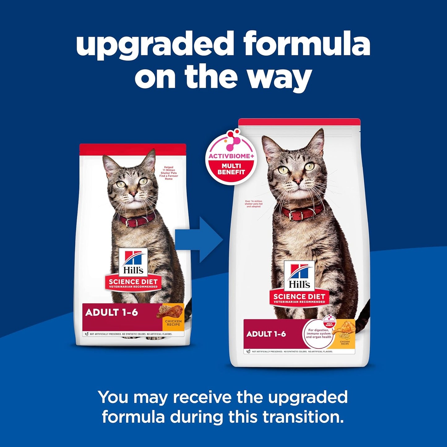 Hill's Science Diet Adult 1-6 Dry Cat Food Review: A Veterinarian-Recommended Choice