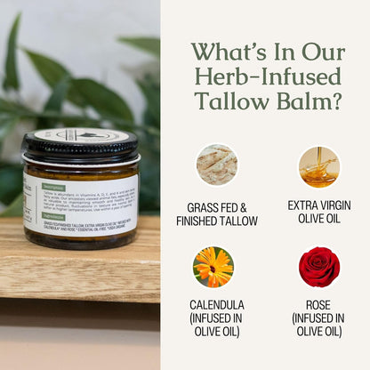 Hearth & Homestead Whipped Beef Tallow for Skin & Face - 100% Grass Fed, Eczema Cream & Body Butter - Organic Olive Oil, Calendula & Rose - Lotion & Hand Moisturizer for Dry Skin, Unscented, 1.3oz