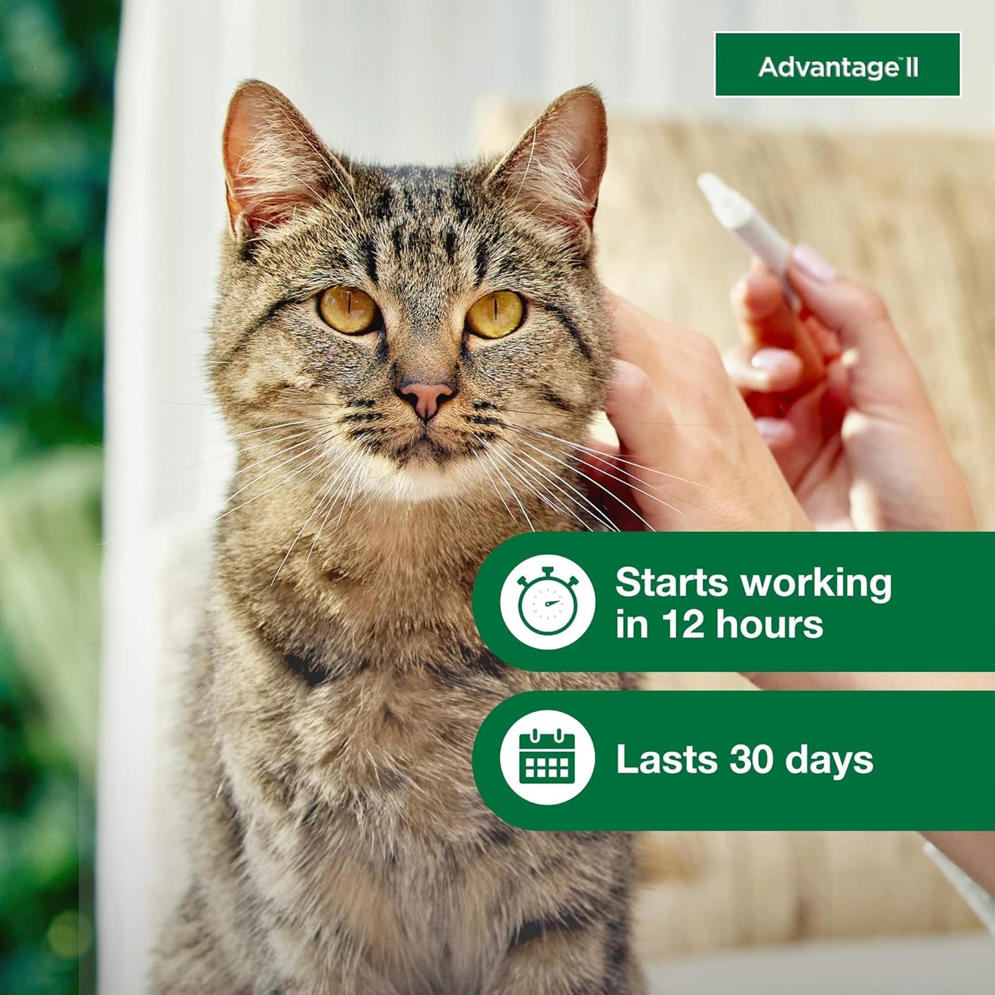 Advantage II Large Cat Flea Treatment & Prevention