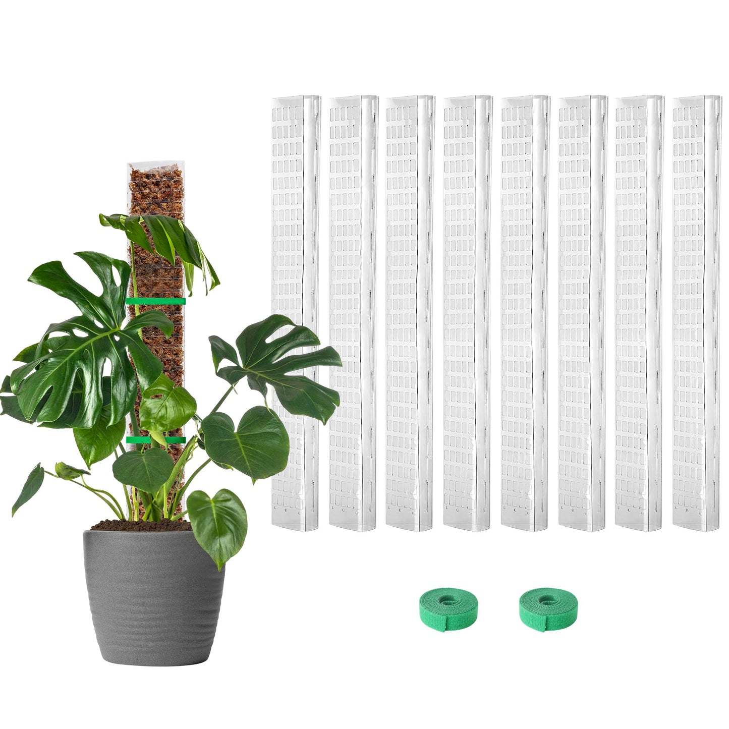 EOX 4 Pcs 24 Inch Plastic Moss Pole for Monstera, Large D Shaped Poles for Climbing Plants Work with Sphagnum Moss, 90 Inch Plant Stake Set of 4, Garden Ties
