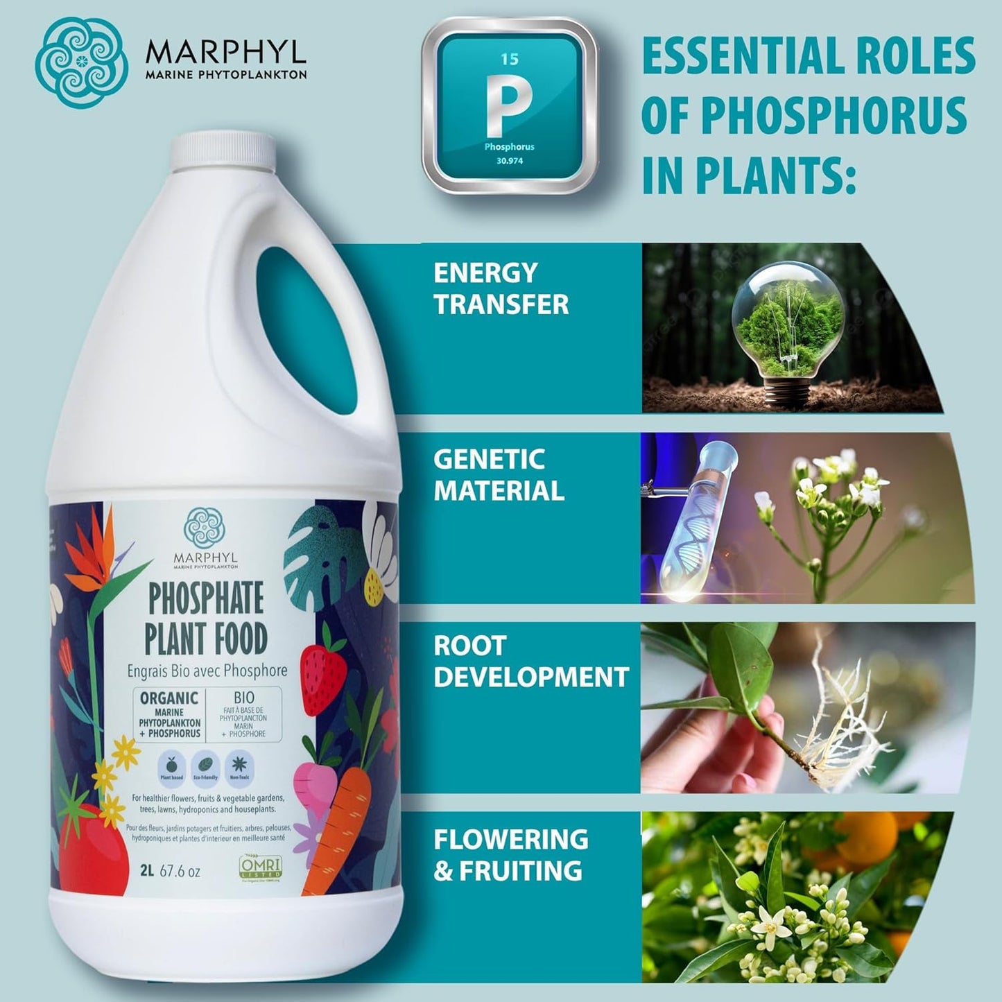 MARPHYL Universaldünger – Organischer, nährstoffreicher Dünger & Bodenverbesserer für Zimmer- & Gartenblumen, Gemüse, Sukkulenten, Bambus & Hydrokulturen