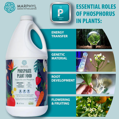 MARPHYL Universaldünger – Organischer, nährstoffreicher Dünger & Bodenverbesserer für Zimmer- & Gartenblumen, Gemüse, Sukkulenten, Bambus & Hydrokulturen
