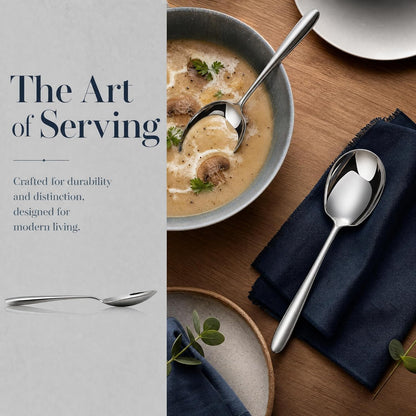 2Pcs Heavy-Duty Large Serving Spoons