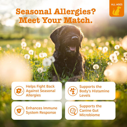 Zesty Paws Allergy Immune Bites: A Game-Changer for Dogs with Itchy Skin?