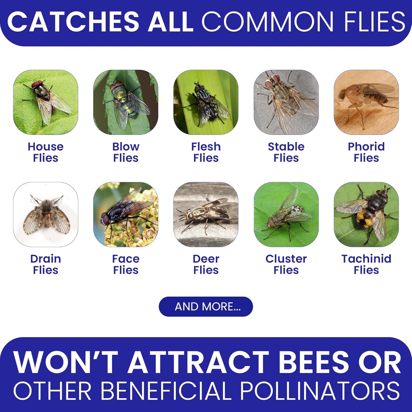 Outdoor Fly Control Made Easy with BugBane's 2 Fly Traps