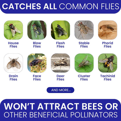 Outdoor Fly Control Made Easy with BugBane's 2 Fly Traps