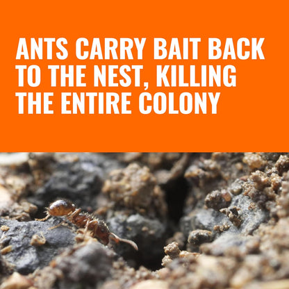 TERRO Outdoor Liquid Ant Bait Stakes: A Simple Solution to Your Ant Problem