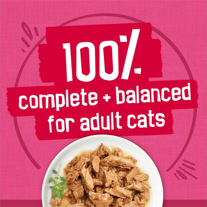 Purina Friskies Gravy Wet Cat Food Variety Pack: A Feline Feast