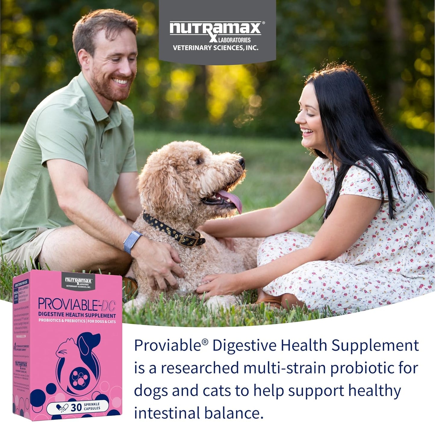 Nutramax Proviable Probiotics for Dogs and Cats: A Digestive Health Game-Changer