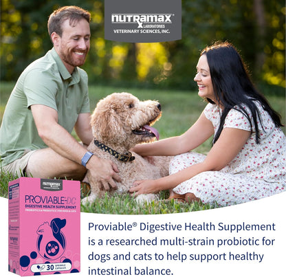 Nutramax Proviable Probiotics for Dogs and Cats: A Digestive Health Game-Changer