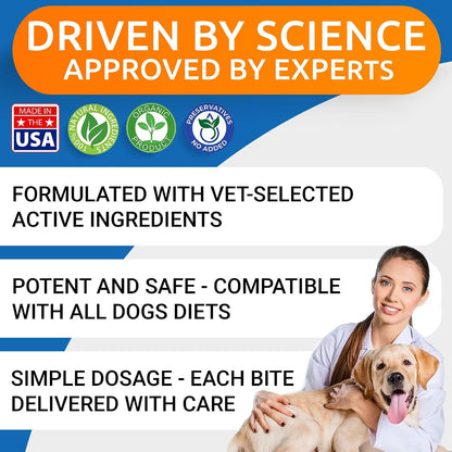 Allergy Relief + Advanced Allergy Bundle - Anti-Itch&Hot Spots + Itchy Skin Relief Pills - Omega 3 + Pumpkin+ Enzymes + Probiotics - Immune Supplement + Anti Itching Licking - 360 Chews - Made in USA