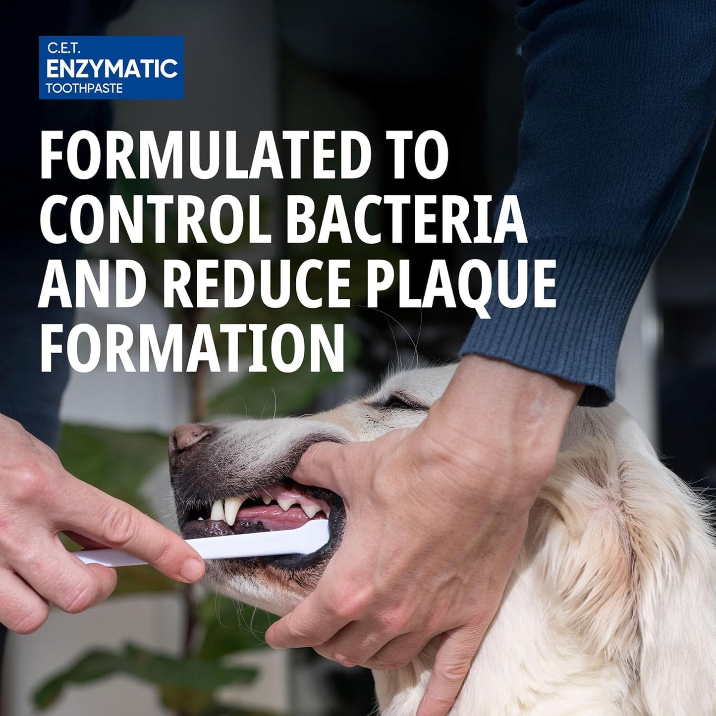 Virbac C.E.T. Enzymatic Toothpaste: A Game-Changer for Pet Dental Care