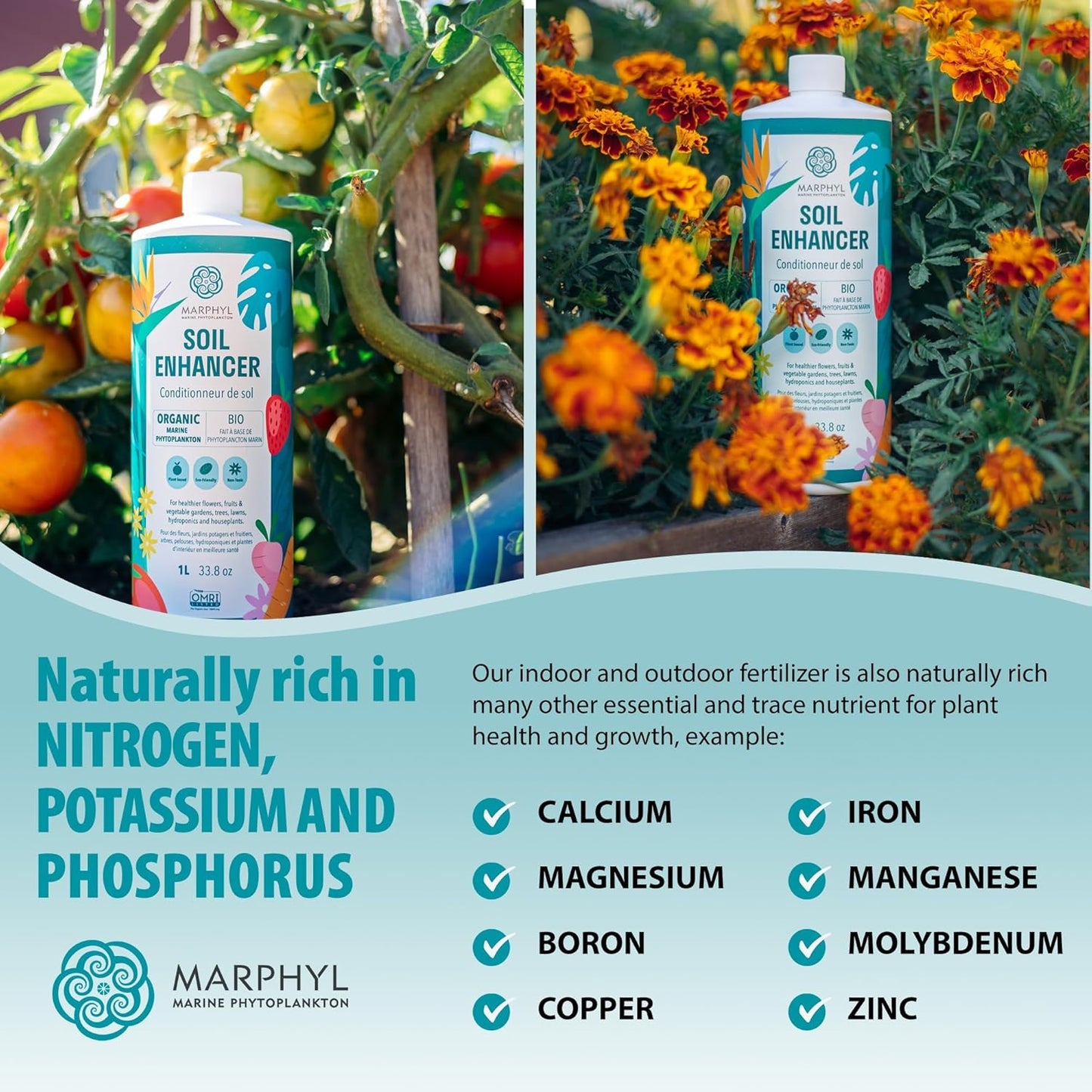 MARPHYL Universaldünger – Organischer, nährstoffreicher Dünger & Bodenverbesserer für Zimmer- & Gartenblumen, Gemüse, Sukkulenten, Bambus & Hydrokulturen