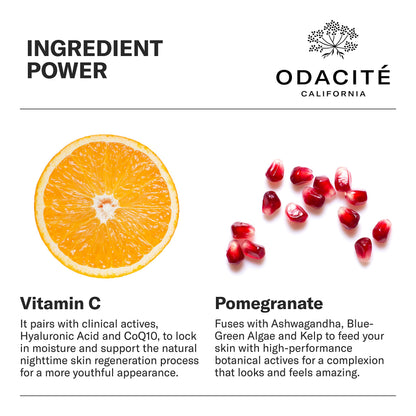 Odacité Night Cream with Vitamin C & Ashwagandha - Creme De La Nuit Glow Recipe - Anti Aging Facial Moisturizer for Dry Skin, Wrinkles, Fine Lines, Dullness & Hydration - Non-GMO, 1.69 fl. oz