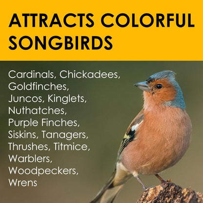 Heath Outdoor Products Suet Cakes: A Birdwatcher's Delight