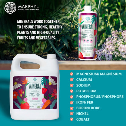 MARPHYL Universaldünger – Organischer, nährstoffreicher Dünger & Bodenverbesserer für Zimmer- & Gartenblumen, Gemüse, Sukkulenten, Bambus & Hydrokulturen