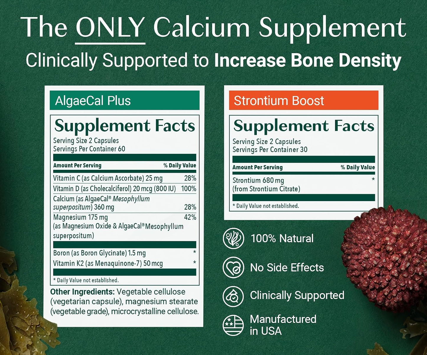 ALGAECAL Ultimate Bone Bundle - D3 Complete (1000 IU) + K2, Vitamin E, Vitamin A & Plant-Based Calcium for Increased Bone Density & Omega 3 Fish Oil with 1200mg EPA DHA