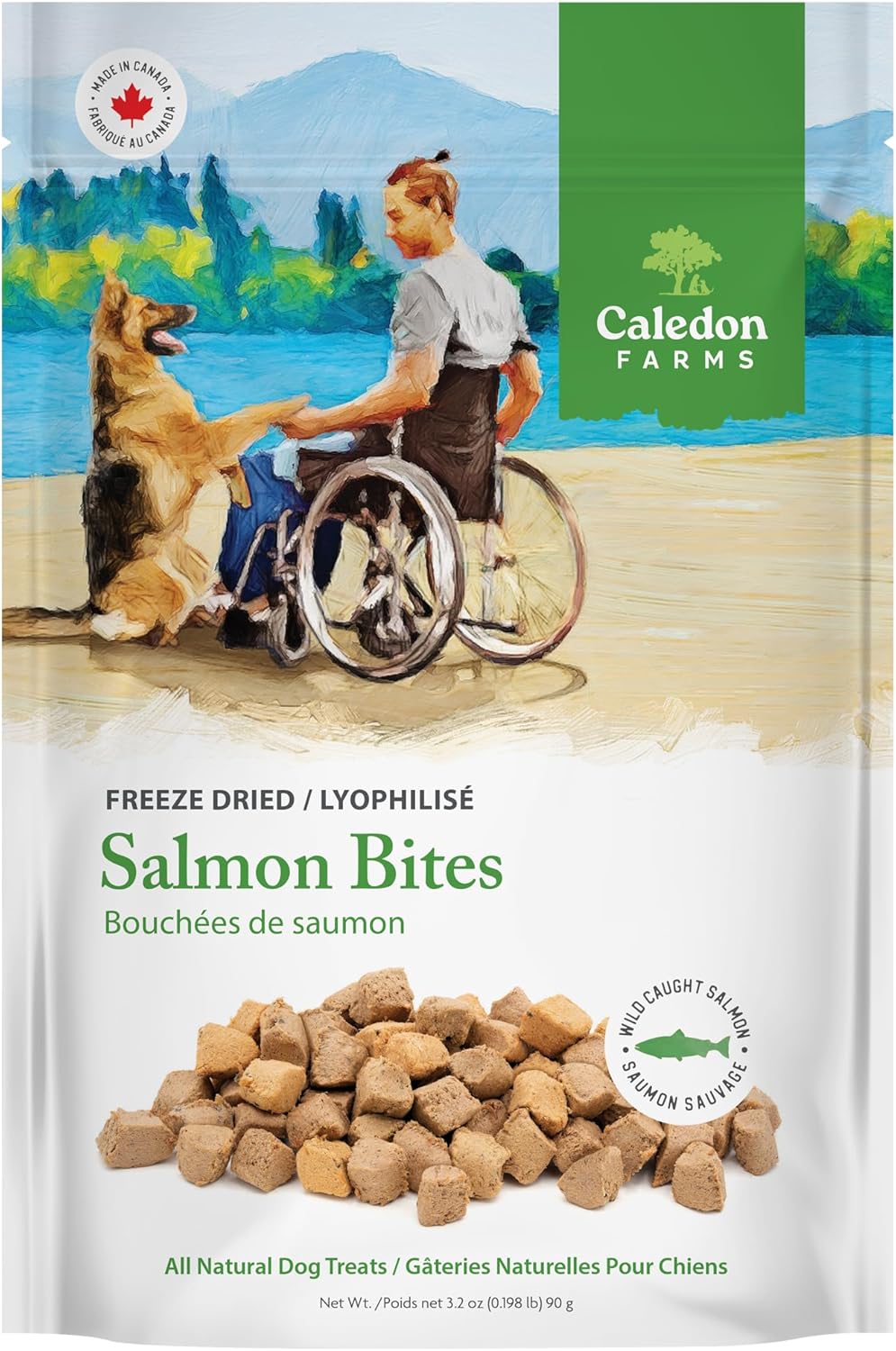 90 g (Pack of 1)Salmon