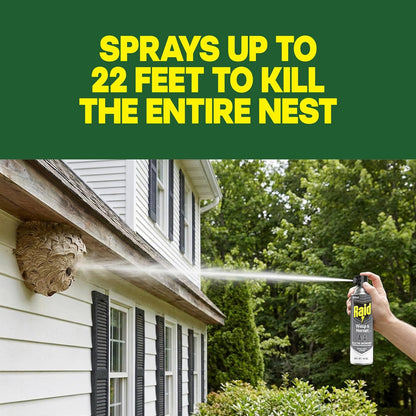 Raid Wasp & Hornet Killer Spray: A Lifesaver for Outdoor Spaces