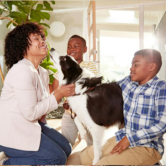 Filtrete 20x25x1 Air Filter Review: Breathe Easy with MERV 5 Technology