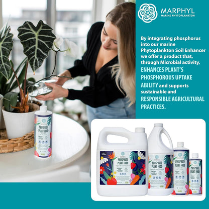 MARPHYL Universaldünger – Organischer, nährstoffreicher Dünger & Bodenverbesserer für Zimmer- & Gartenblumen, Gemüse, Sukkulenten, Bambus & Hydrokulturen