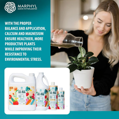MARPHYL Universaldünger – Organischer, nährstoffreicher Dünger & Bodenverbesserer für Zimmer- & Gartenblumen, Gemüse, Sukkulenten, Bambus & Hydrokulturen