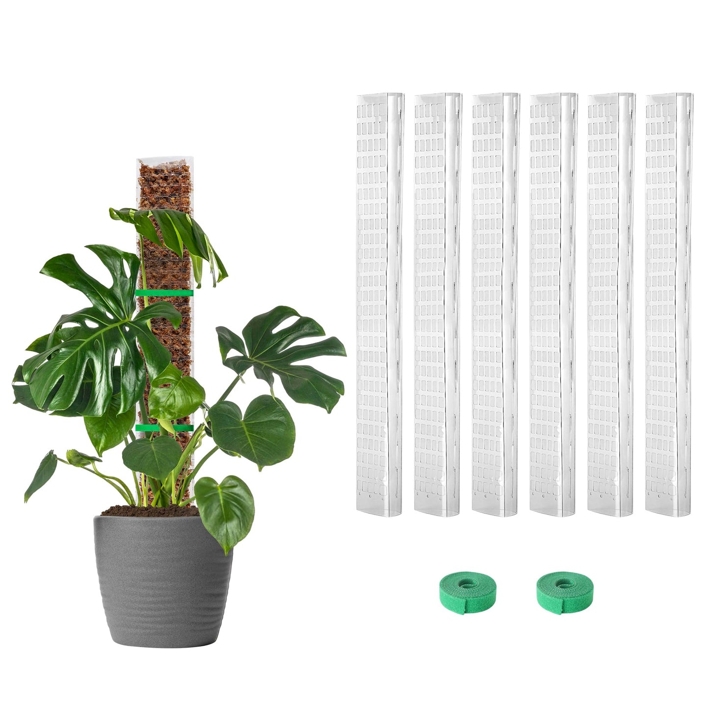 EOX 4 Pcs 24 Inch Plastic Moss Pole for Monstera, Large D Shaped Poles for Climbing Plants Work with Sphagnum Moss, 90 Inch Plant Stake Set of 4, Garden Ties