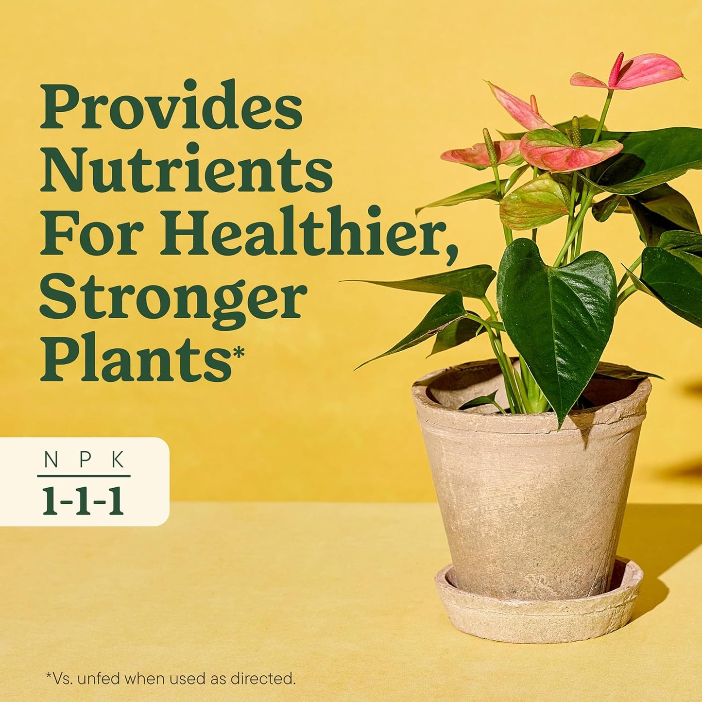 Miracle-Gro Indoor Plant Food: A Game-Changer for Your Houseplants