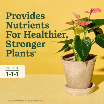 Miracle-Gro Indoor Plant Food: A Game-Changer for Your Houseplants
