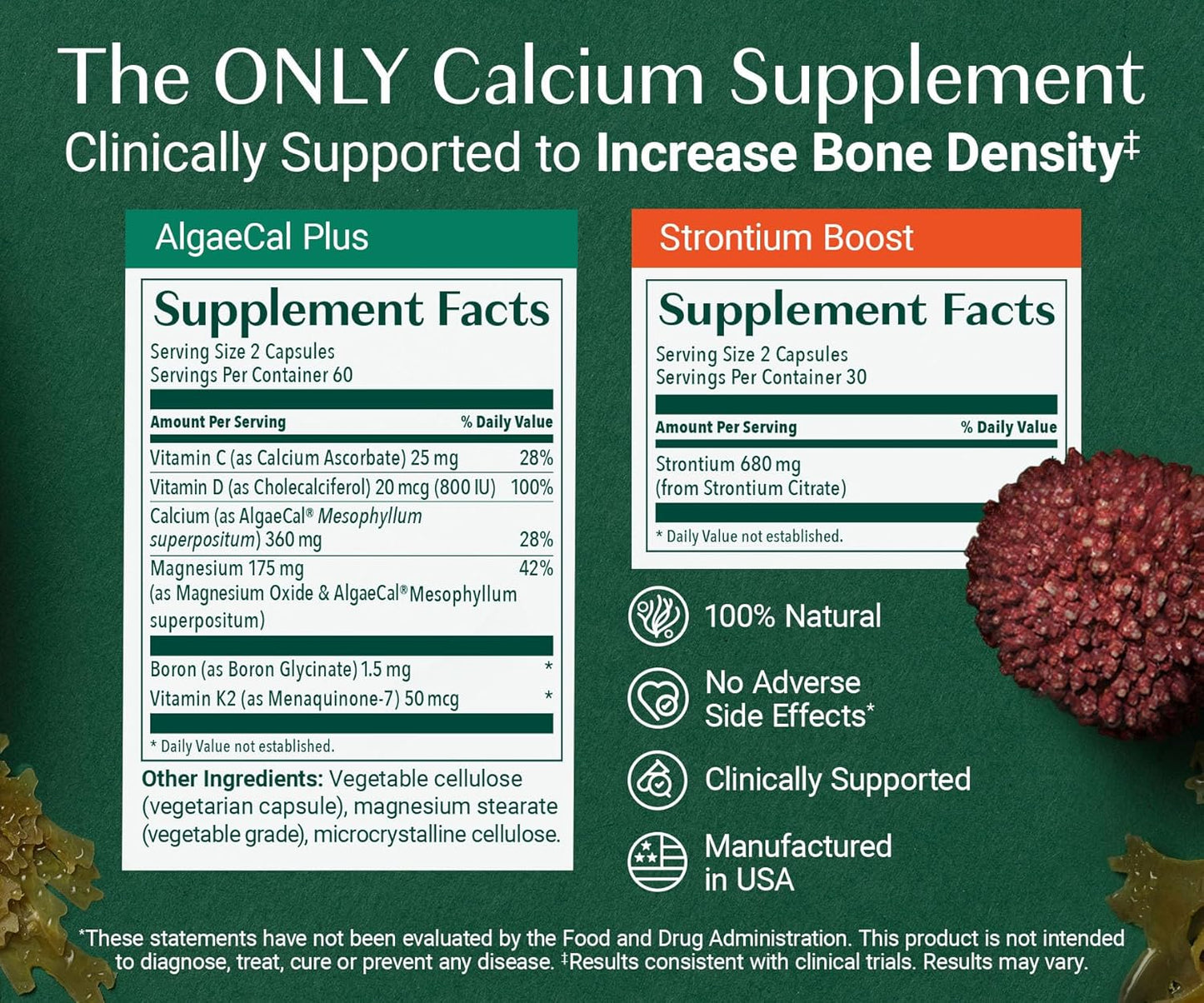 ALGAECAL Powerhouse Bundle - D3 Complete (1000 IU) + K2, Vitamin E, Vitamin A & Bone Builder Pack for Increased Bone Density & Omega 3 Fish Oil 1200mg EPA DHA & Osteoporosis Book