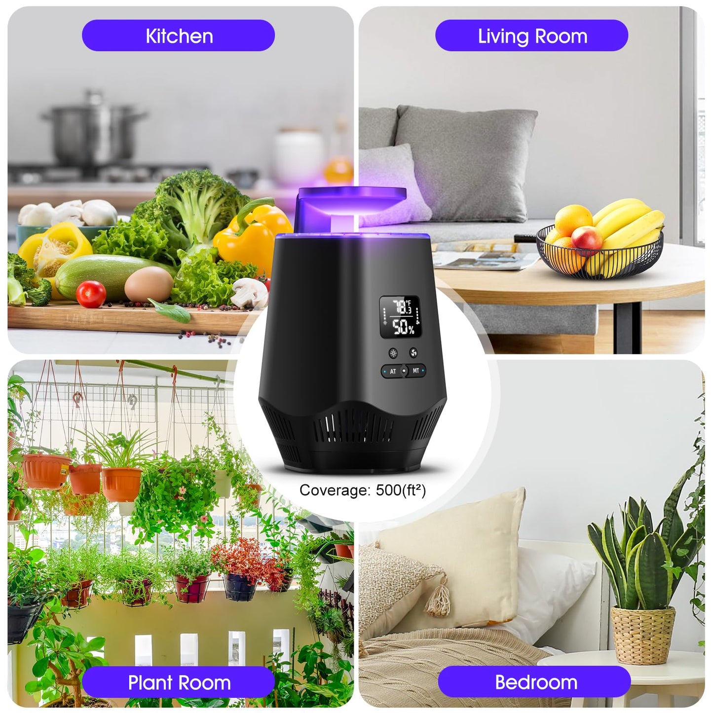 Fruit Fly Traps for Indoors, Smart Fly Trap Indoor Bug Zapper Gnat Traps for House Indoor with Temperature and Humidity Sensor, 10PCS Sticky Boards Black 0