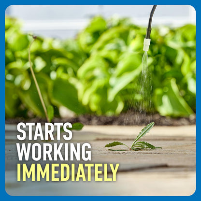 Roundup Weed and Grass Killer₄: A Game-Changer for Your Outdoor Space