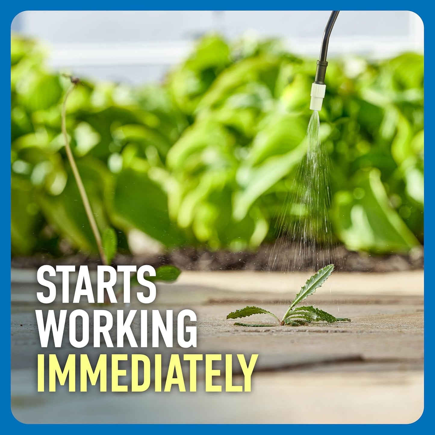Roundup Weed and Grass Killer₄: A Game-Changer for Your Outdoor Space
