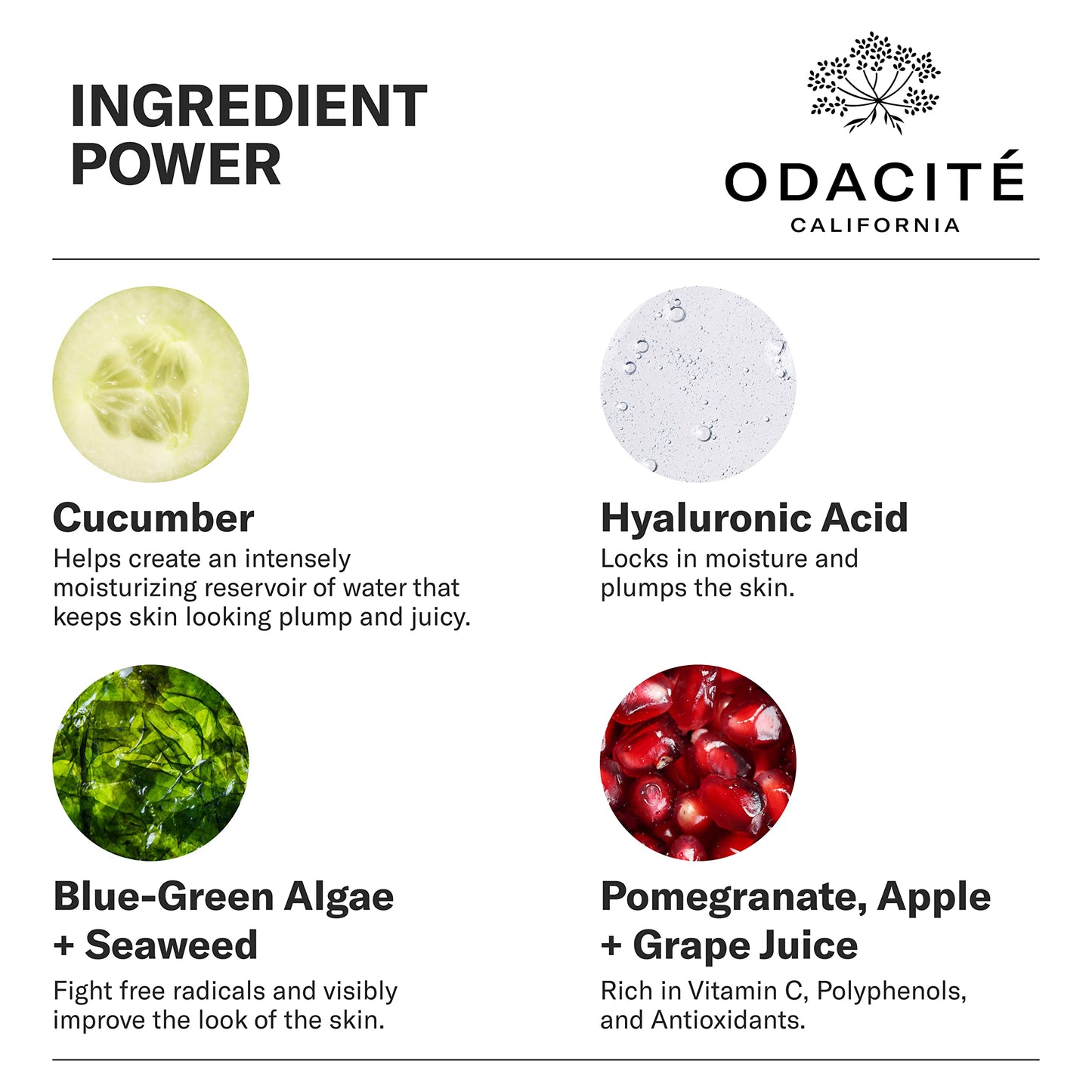 Odacité Night Cream with Vitamin C & Ashwagandha - Creme De La Nuit Glow Recipe - Anti Aging Facial Moisturizer for Dry Skin, Wrinkles, Fine Lines, Dullness & Hydration - Non-GMO, 1.69 fl. oz