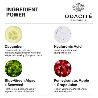 Odacité Night Cream with Vitamin C & Ashwagandha - Creme De La Nuit Glow Recipe - Anti Aging Facial Moisturizer for Dry Skin, Wrinkles, Fine Lines, Dullness & Hydration - Non-GMO, 1.69 fl. oz