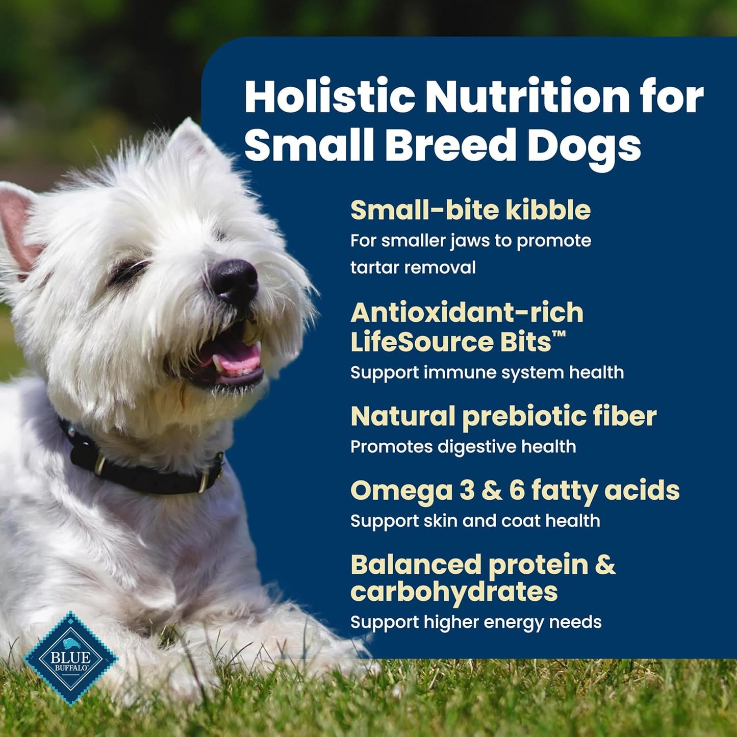 Blue Buffalo Life Protection Formula: A Nutritious Choice for Small Breed Dogs